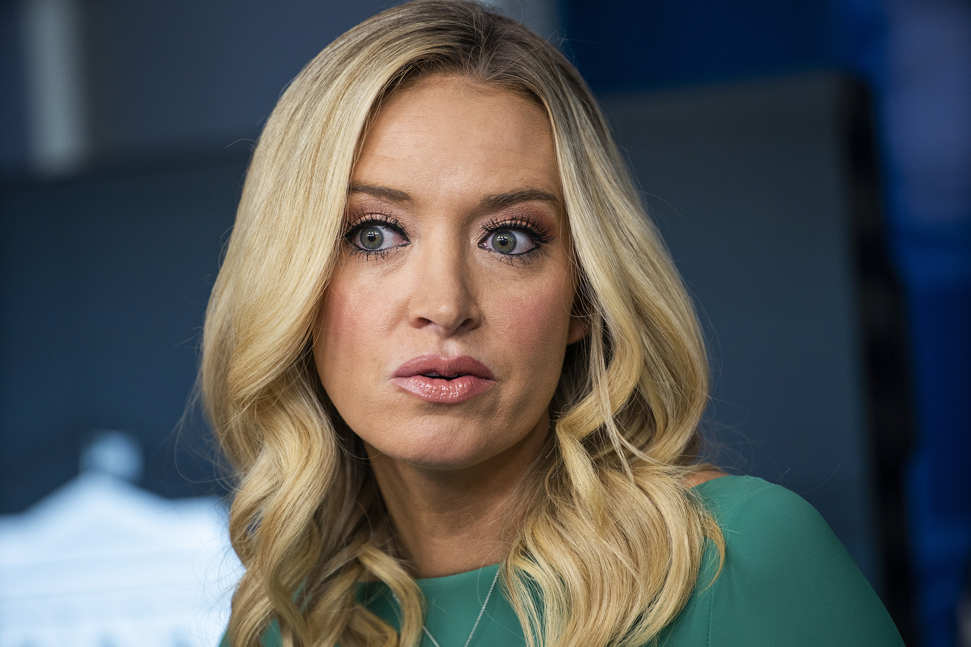 connor herrmann add kayleigh mcenany naked photo