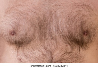 christy gilmer add big tits natural hairy image