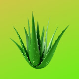 beryl wolfe add aloe verga photo