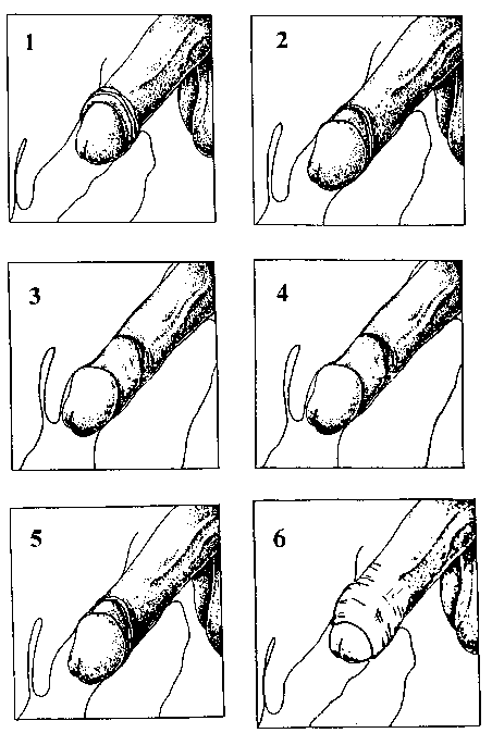 desmond powell add animated intercourse photo