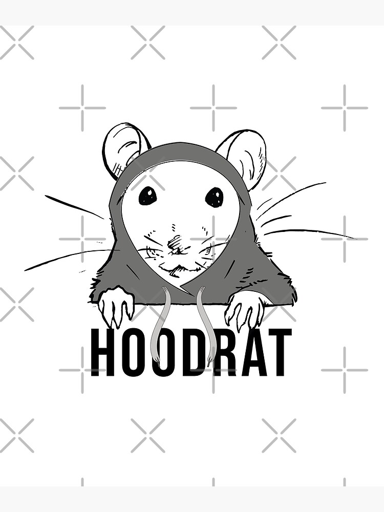 anna demaree add define hood rat photo