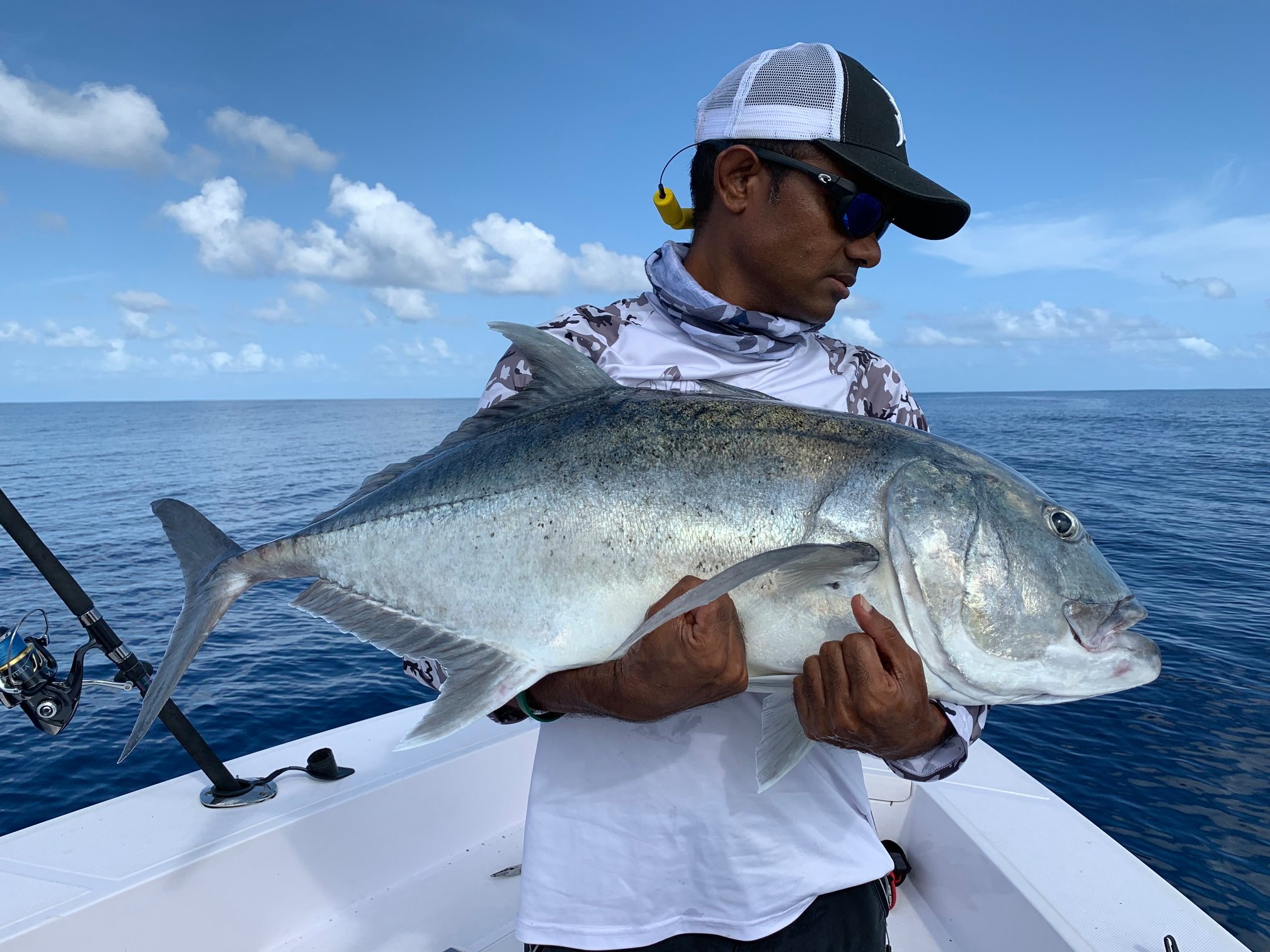 arpita basu add dreamy bull fishing video photo