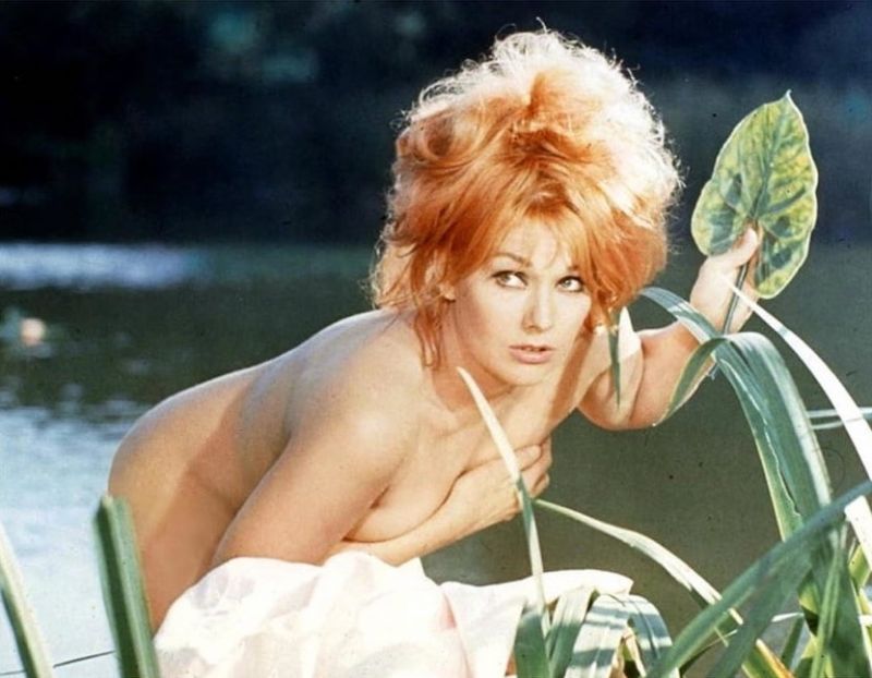 carolyn macdonald add kim novak naked photo