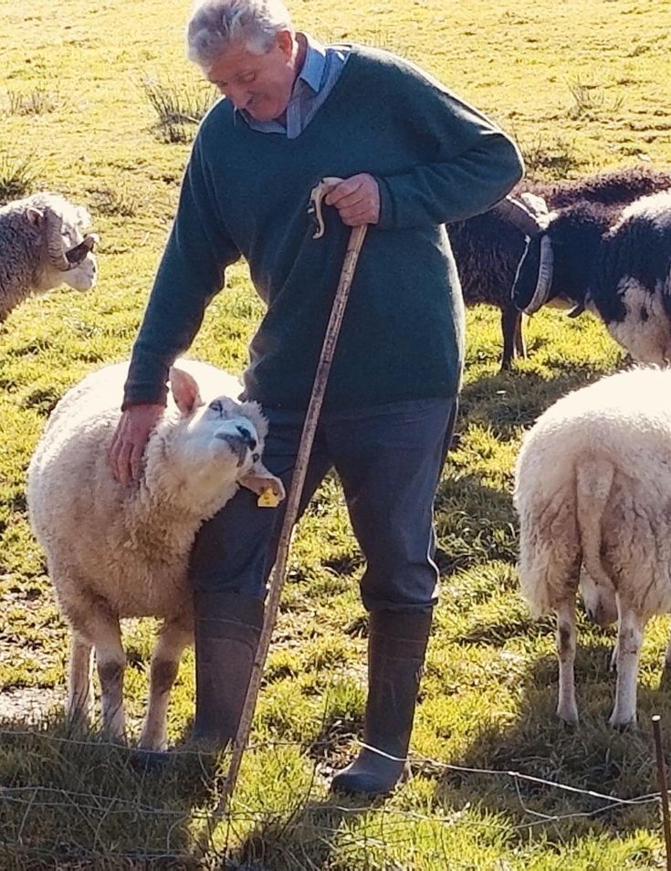 diana petras add man screwing sheep photo