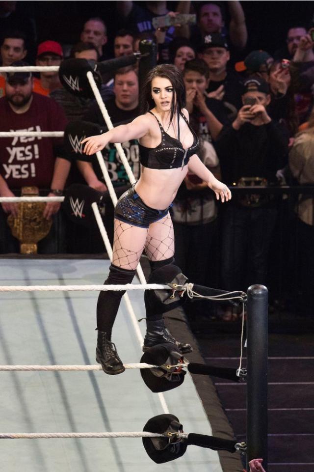 dan davie add wwe paige porn photo